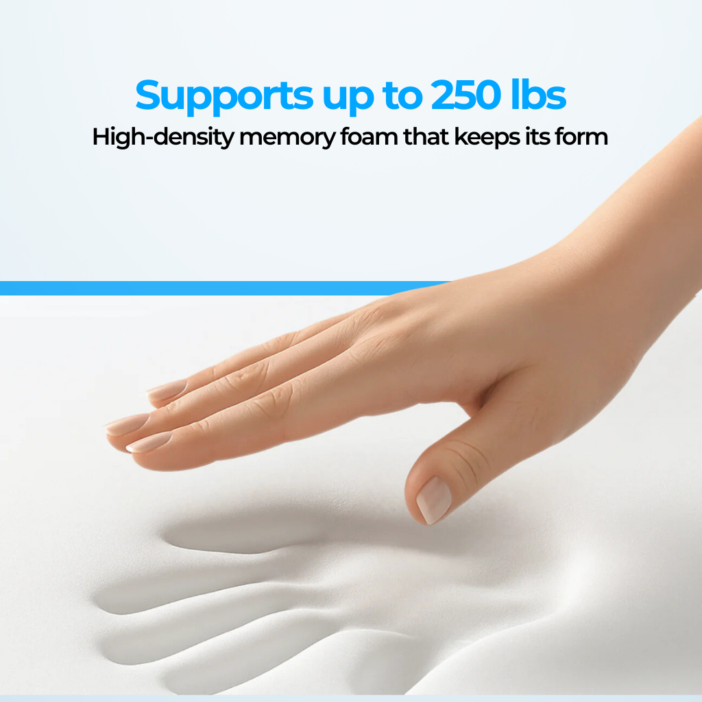 Lenorea Pro Seat Cushion